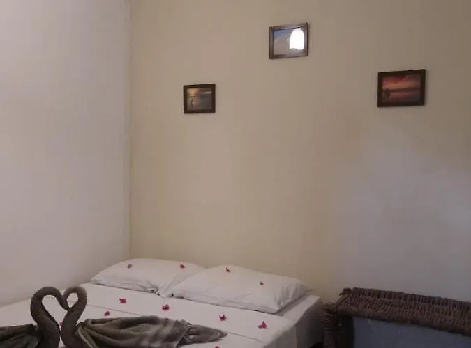 Hotel que aceita animais de estimação: Benu Suítes