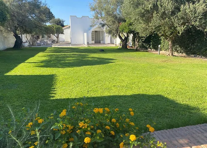 Degli Squali Suite Home