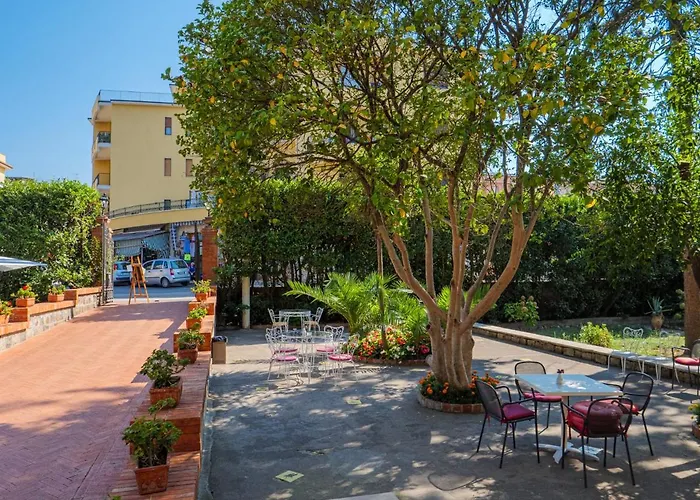 Delle Palme