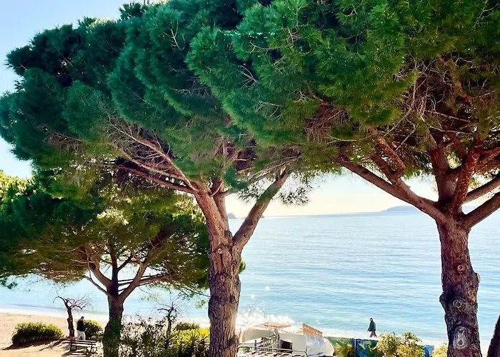 Les Pieds Dans L'eau À Cavalière (Lavandou 83)