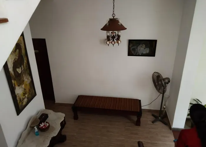 Pet Friendly hotel: Ellen'S Place
