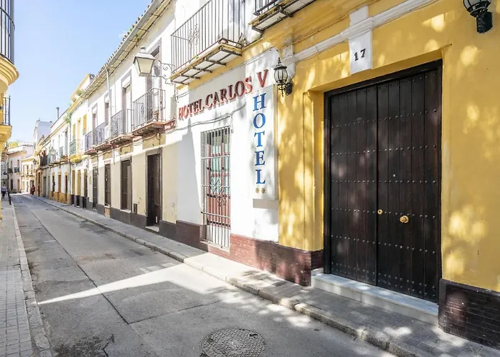 Perros hoteles Carlos V Jerez By Vivere Stays