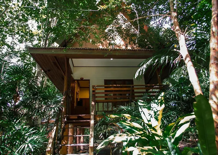 Animaux admis Vatika And Spa