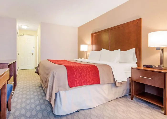 Сity center hotels Comfort Fallsview