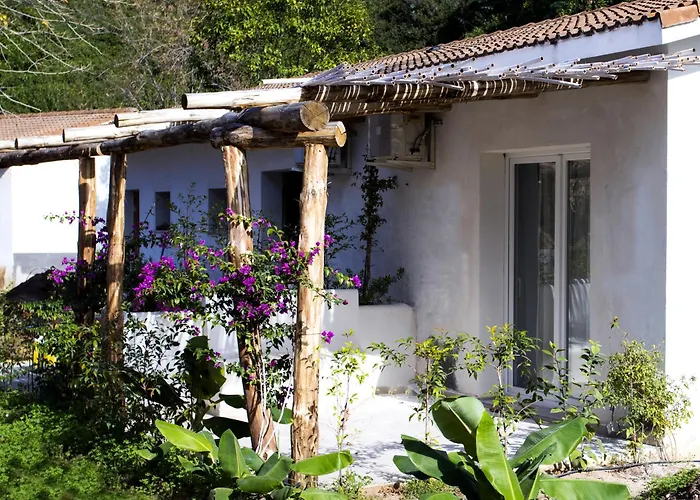 Hotel adatto agli animali: BV Kalafiorita Resort