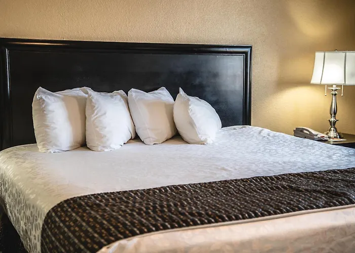 Pet Friendly hotel: The Stone Castle Hotel & Conference Center