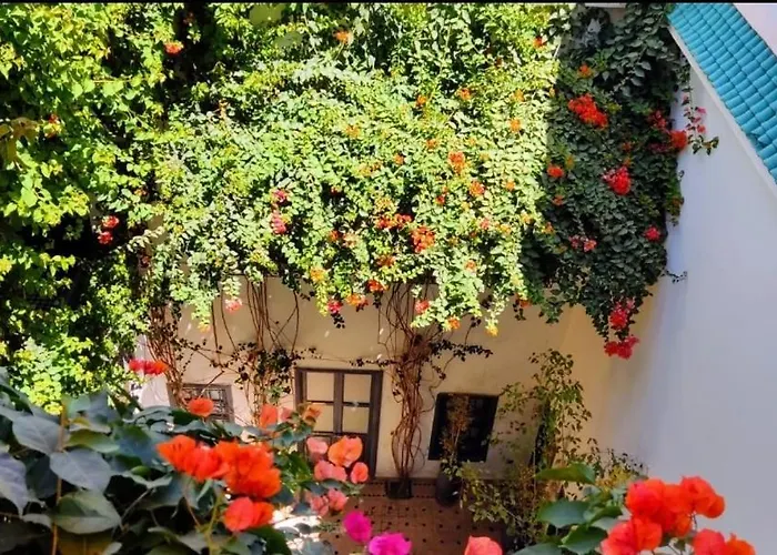 Hotel de playa: Bougainvillea Riad