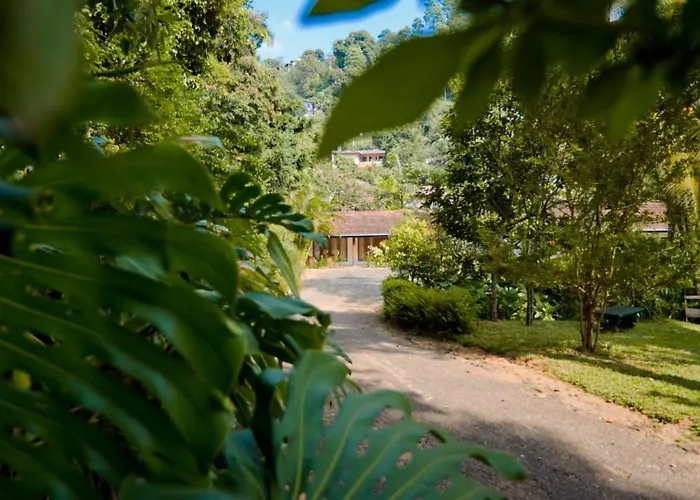Clove Garden