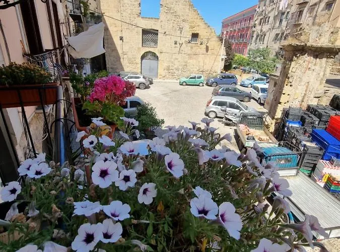 Hotel adatto agli animali: Residenza Tarzanà