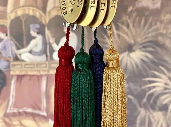 Hôtel accueillant les animaux: Hôtel Tête d'or