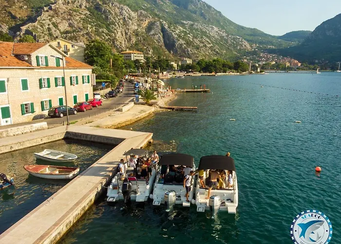 Hostel: Montenegro Hostel 4U