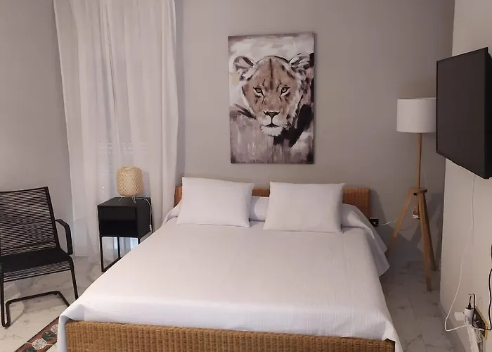 Alquiler de vacaciones: La Palmera Rooms