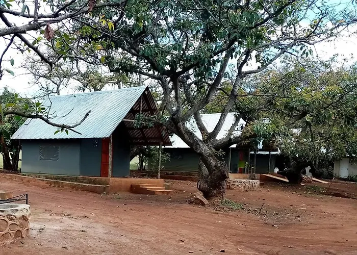 Resort: Mulberry Lane