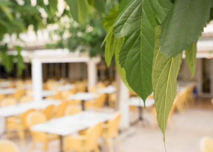 Hotel de playa: Houm Nets - Adults Only