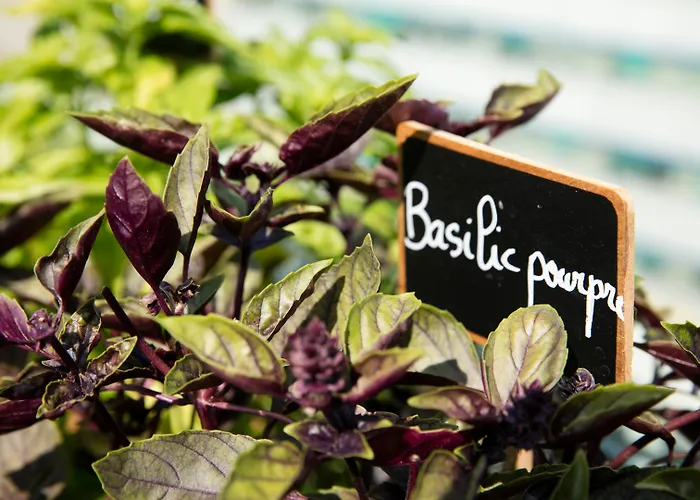 Hotel with pool: Radisson Blu Hotel Nice