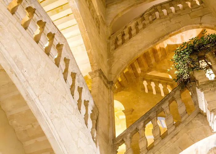 Hôtel accueillant les animaux: Best Western Marquis de la Baume