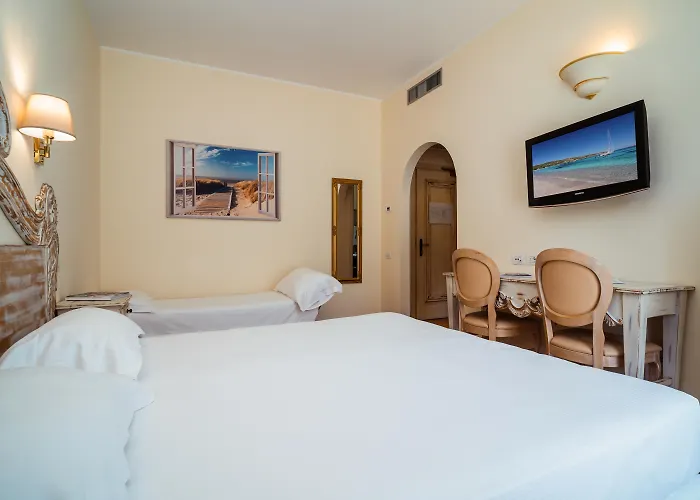 Animaux admis Dp Olbia - Sardinia