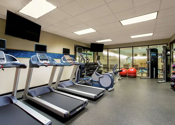 In Luxury hotels Hampton Inn & Suites Denver-Downtown