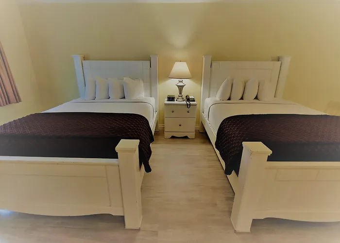 Hotel con vistas: Hollywood Celebrity Hotel