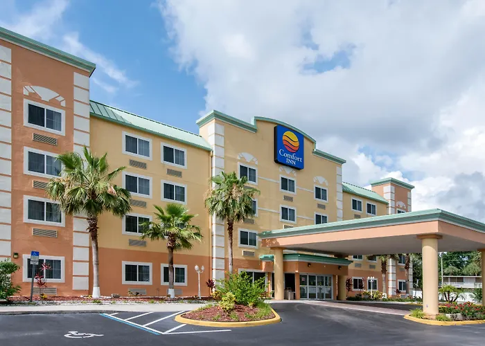 Pet Friendly hotel: Comfort Inn Kissimmee-Lake Buena Vista South