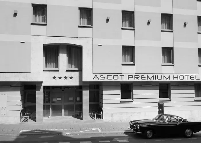 Pets Allowed Hotel Ascot Premium