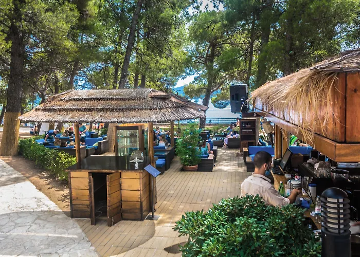Bluesun Borak
