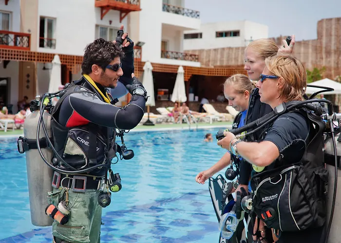 Welkom Hotel: Falcon Naama Star Hotel