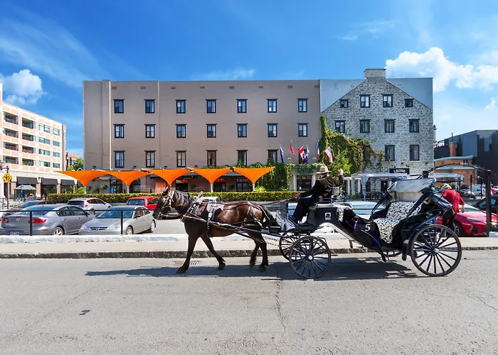 Hotel que admite mascotas: Hotel Port-Royal