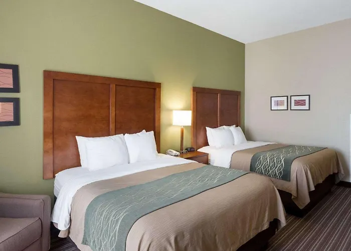 Cheap hotels Comfort Inn & Suites Fayetteville-University Area
