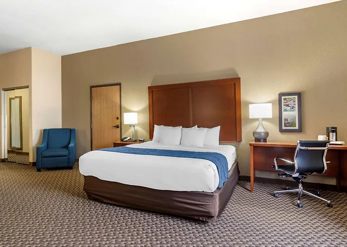 Pet Friendly hotel: Comfort Inn & Suites Blue Ridge