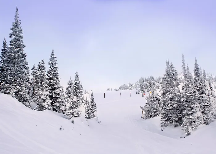 Hotel que admite mascotas: Hotel Merino