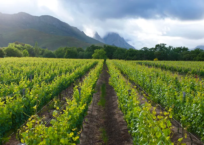 Luxe hotel: Lanzerac Hotel & Spa