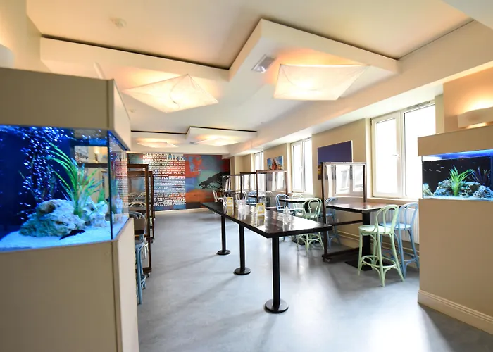 Animaux admis Kinlay Eyre Square - Best In Ireland 2025