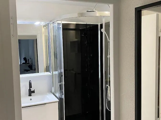 Hôtel accueillant les animaux: StudioB hyper-centre climatisé