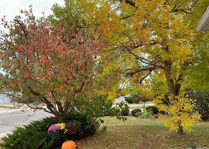 Hotel near College: Brother Li Homestay