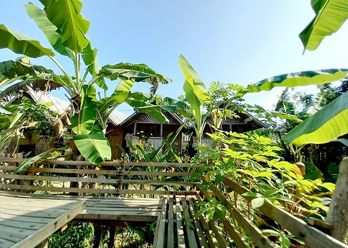 Banana Grove El Nido