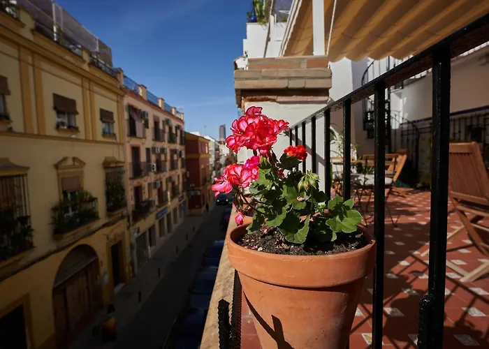 Hotel con vista: Casa Pureza