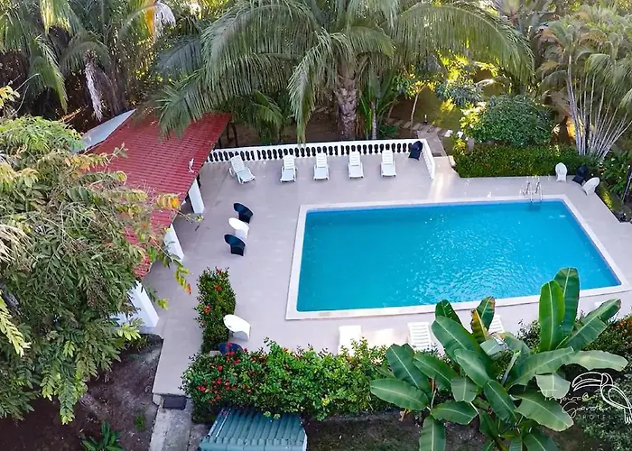 Pet Friendly hotel: Tropical Garden Hotel