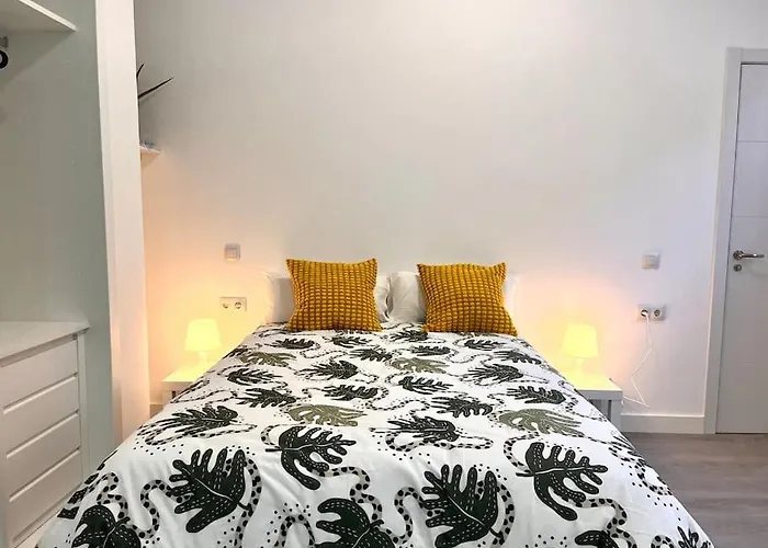 Hotel que admite mascotas: Cool Space