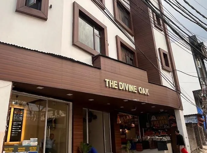 Divine Oak