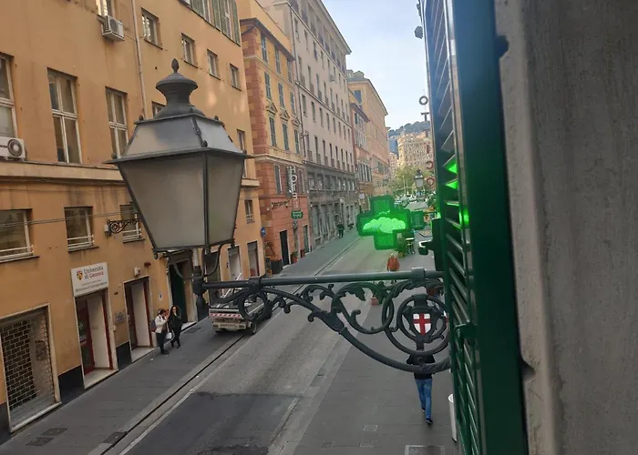 Italian Guest