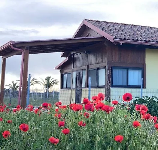 Albergo centrale: Spiaggia Le Dune Residence