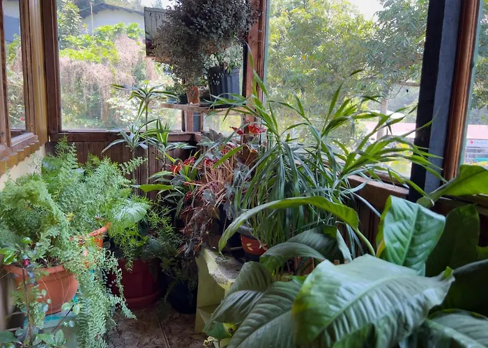 Casa Tranquilo Hostel