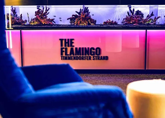 Flamingo