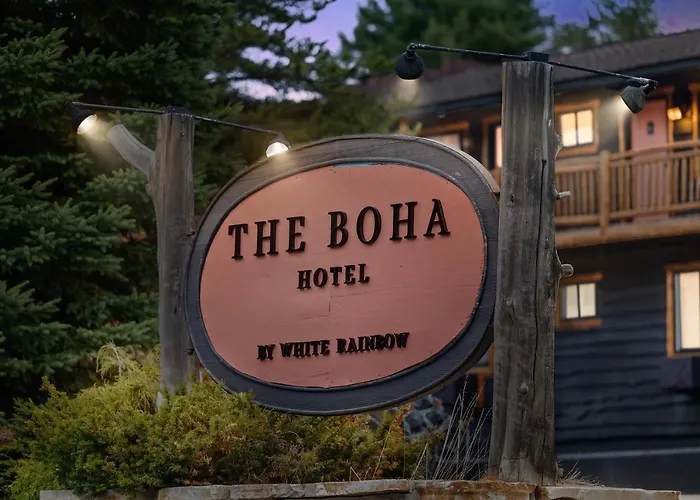 Pet Friendly hotel: The Boha Hotel
