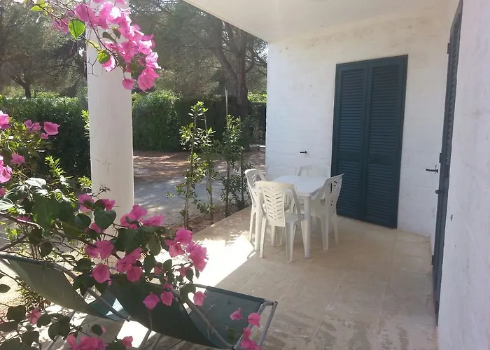 Hotel vicino al College: Camping Cala Dei Ginepri