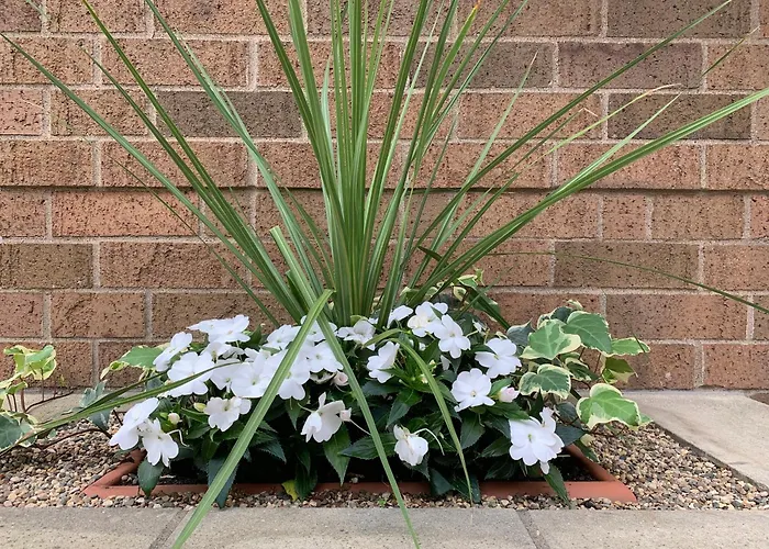 Jacuzzi hotel: Holiday Inn Express Hotel & Suites Minneapolis-Downtown Convention Center By Ihg