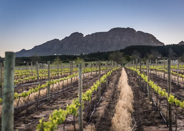 Luxe hotel: Lanzerac Hotel & Spa