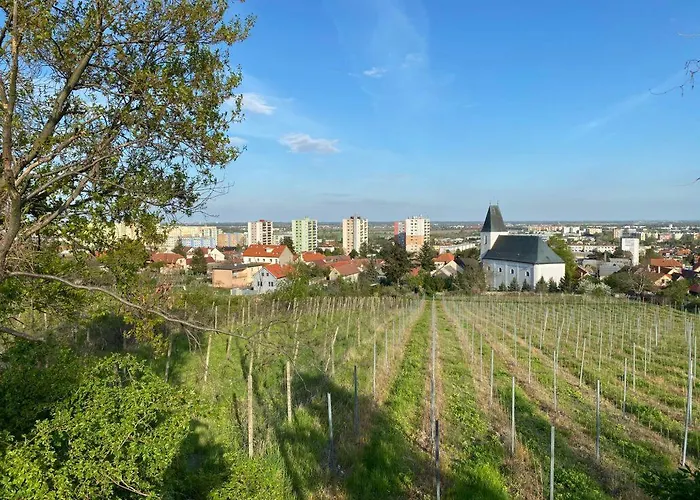  Baronka