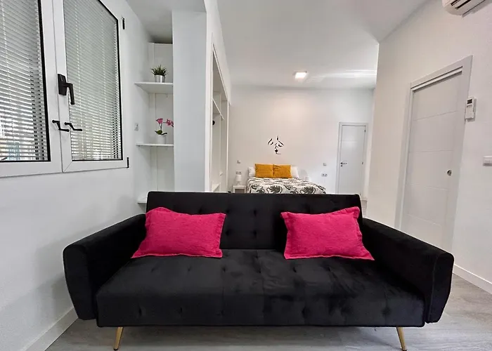 Hotel que admite mascotas: Cool Space